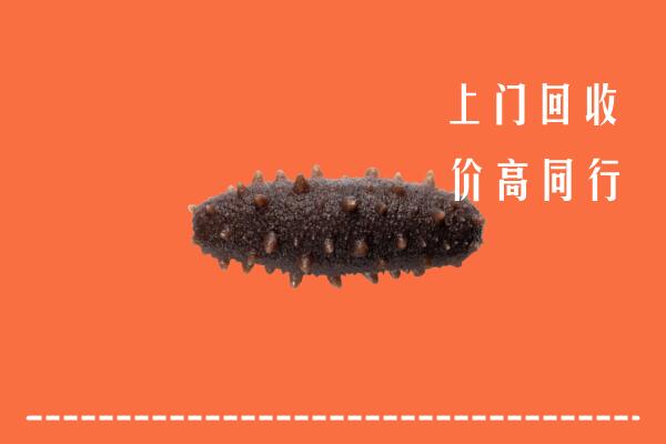 高价求购：蓬安县回收海参